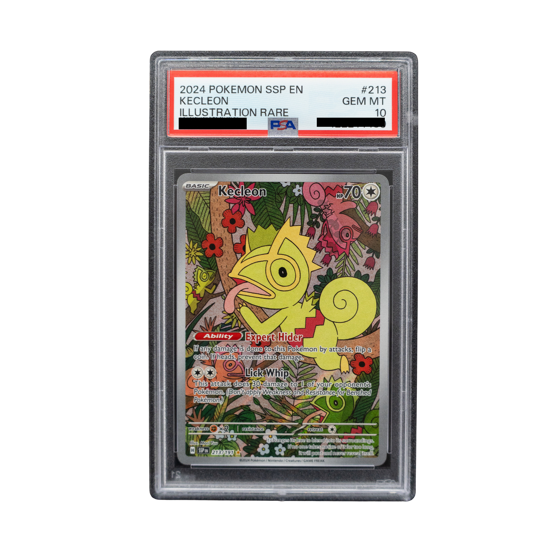 2024 Kecleon #213 Surging Sparks English - PSA 10 PSA graded slab