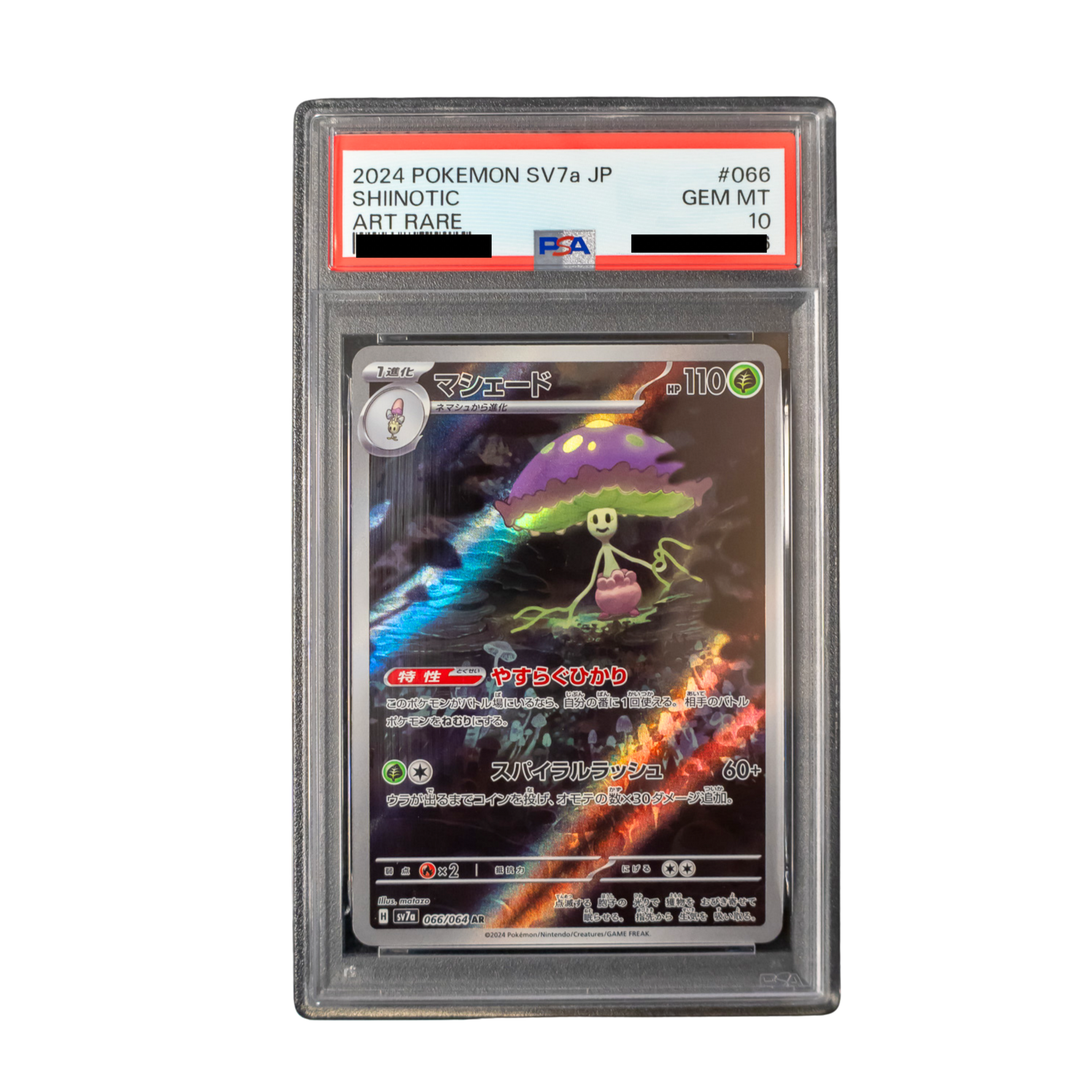 2024 Shiinotic #066 SV7a Japanese - PSA 10 PSA graded slab