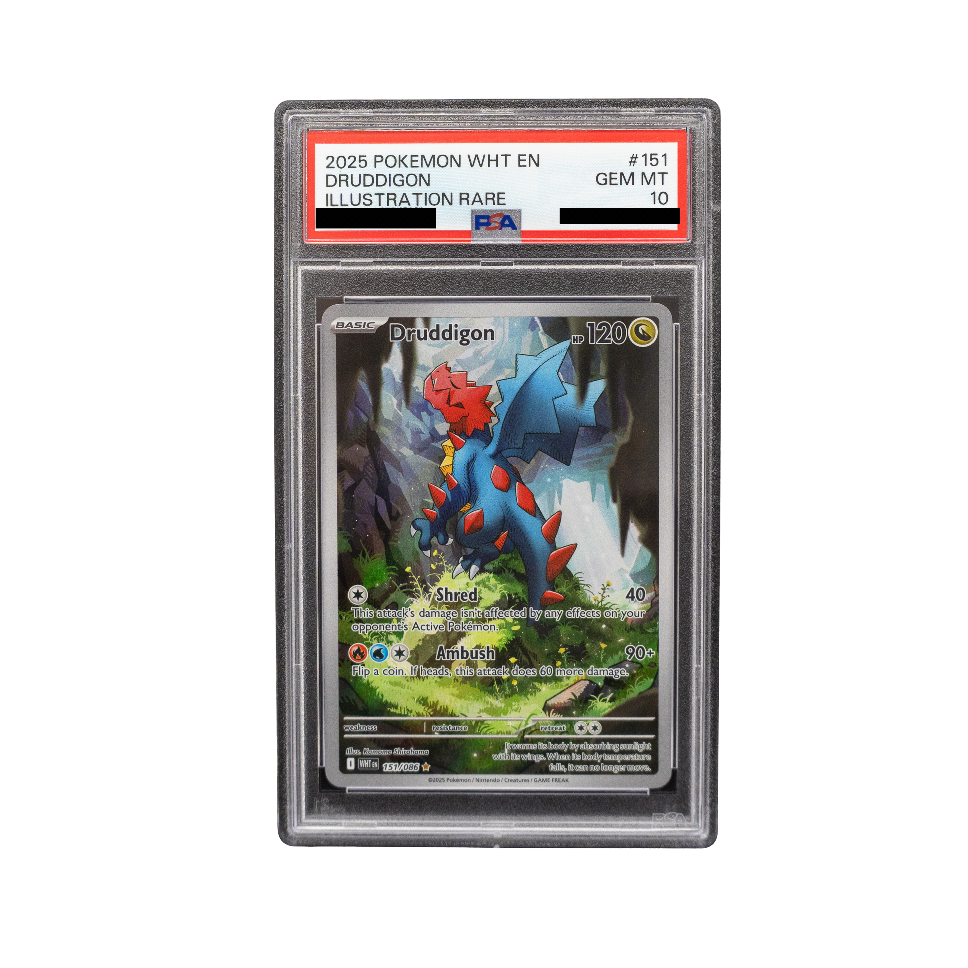 2025 Druddigon #151 White Flare English - PSA 10 PSA graded slab